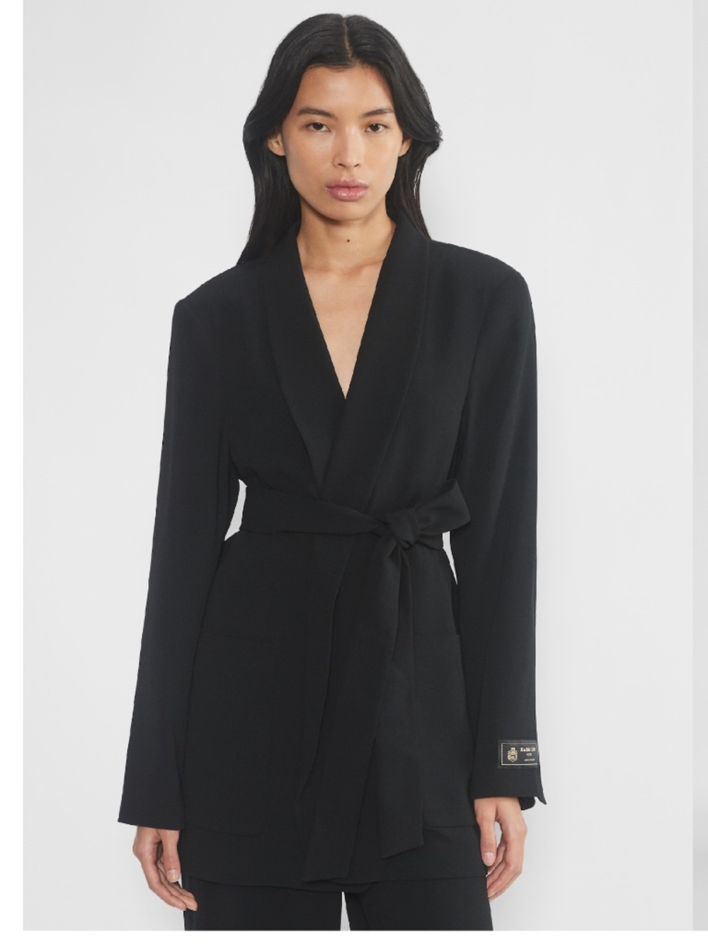Aritzia Babaton Executive Blazer